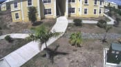 Thumbnail 7 of 12 - Apartment building walkway-Louis E. Brown Senior Villas, St Croix 00820, U.S. Virgin Islands