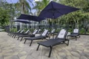 Thumbnail 46 of 54 - a row of lounge chairs with umbrellas in front of a fence  at Club at Emerald Waters, Hollywood