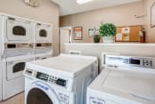 Thumbnail 12 of 30 - Laundry and Dryer, Amenities