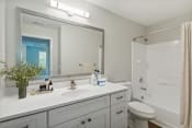 Thumbnail 12 of 27 - a bathroom with a large mirror at The Bluestone Apartments, South Carolina, 29910