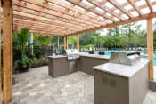 Thumbnail 2 of 27 - Outdoor Kitchen Area at The Grand Reserve at Tampa Palms Apartments, Florida