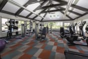 Thumbnail 23 of 25 - a large fitness room with cardio machines and weights
