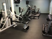 Thumbnail 4 of 10 - Fitness Center at Shenandoah Properties, IN