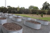Thumbnail 47 of 54 - a row of pots filled with dirt and trees in the background