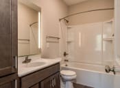 Thumbnail 42 of 65 - Bathroom (Premier Floor Plan) at Emerald Creek Apartments, Greenville