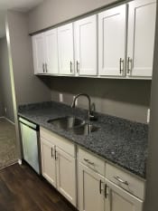 Thumbnail 5 of 16 - Grey walls with white cabinetry on top and grey countertops.  White cabinetry on the bottom and stainless steel dishwasher at the far end.  Stainless steel sink with steel fixture along with dark hardwood-like flooring.