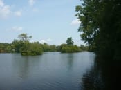 Thumbnail 17 of 17 - Huron River in Ann Arbor with green trees surrounding