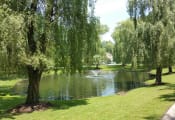 Thumbnail 13 of 16 - Pond with fountain surrounded by willow trees