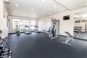 Thumbnail 41 of 60 - the gym has plenty of weights and cardio equipment and a large window