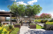Thumbnail 43 of 83 - bayswater rooftop garden with lush tree and lounge trees