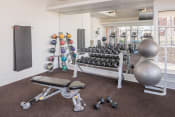 Thumbnail 8 of 24 - Fitness center with free weights
