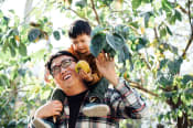 Thumbnail 55 of 83 - happy father and sun picking fruit near trees