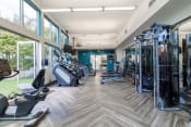 Thumbnail 37 of 55 - a gym with cardio machines and weights in a building with large windows
