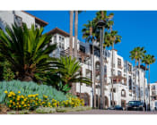Thumbnail 69 of 88 - exterior of promenade rio vista apartments and palm tree landscaping