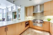 Thumbnail 2 of 36 - Mission Bay San Francisco Apartments-Venue Apartments Kitchen With Wooden Cabinetry And Multi-Colored Tile Backsplash