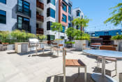 Thumbnail 6 of 36 - Apartments San Francisco - Venue - Outdoor Grill Area Surrounded by Lounge Seating, Tables, and Landscaped Grounds