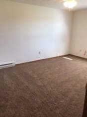 Thumbnail 19 of 22 - large carpeted room