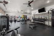 Thumbnail 30 of 44 - Prelude at Paramount Apartments Fitness