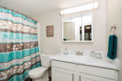 Thumbnail 35 of 39 - a bathroom with a white sink and toilet next to a shower with a blue and brown shower