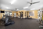 Thumbnail 12 of 14 - a spacious fitness room with carpeted flooring and a large window with a view of the