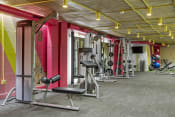 Thumbnail 28 of 41 - a gym with a lot of exercise equipment in it