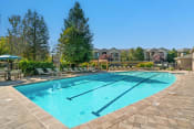 Thumbnail 8 of 25 - the enclave at homecoming terra vista heated pool