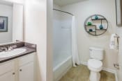 Thumbnail 19 of 23 - The Colony at Deerwood Apartments - Fully-appointed bathrooms