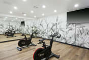 Thumbnail 8 of 34 - a row of exercise bikes in a room with a mural on the wall