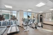 Thumbnail 28 of 50 - the gym at the runnymede on best student halls of residence