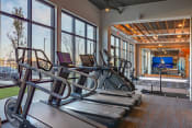 Thumbnail 12 of 40 - the gym at the monarch club has cardio equipment and large windows