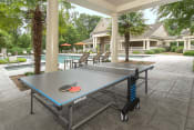 Thumbnail 5 of 33 - greystone falls ping pong table