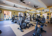 Thumbnail 8 of 31 - the gym with cardio equipment at the oxford condos tx