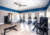 Thumbnail 19 of 35 - the apartments at masse corner 205 fitness room