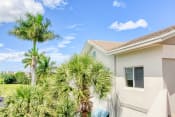 Thumbnail 16 of 16 - apartment exterior with towering palm trees