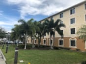 Thumbnail 5 of 14 - stately palms line our senior apartments for rent in venice, fl