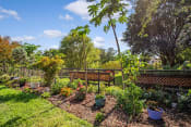 Thumbnail 9 of 12 - lush garden at Villa Vincente with potted plants and mature trees