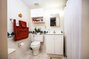 Thumbnail 8 of 12 - Bathroom with shower, vanity, toilet, and overhead lighting