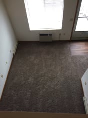 Thumbnail 11 of 22 - Image of large carpeted living room