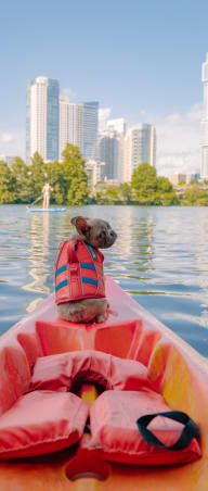 a dog wearing a life jacket sitting in a kayak on a lake