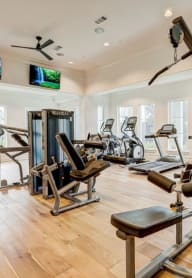 the gym is equipped with a variety of exercise equipment