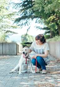 A woman is sitting on a bench with a white dog.