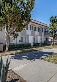 an apartment building with a sidewalk and trees in front of it