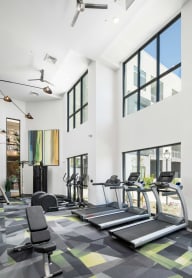 a gym with treadmills and weights in a building with tall windows