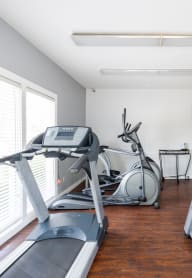 two treadmills and elliptical machines in the fitness room