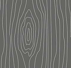 A detailed image of a tree trunk showing the rings and growth lines.