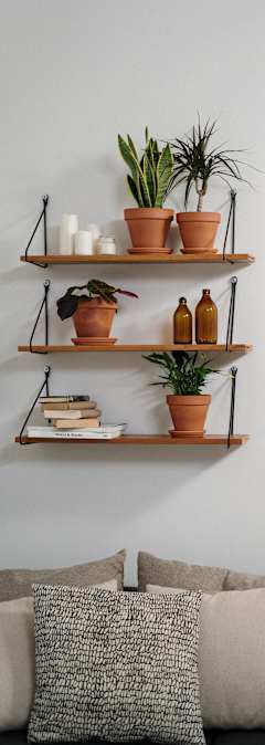 A living room with a couch and three shelves with potted plants and other decorations.