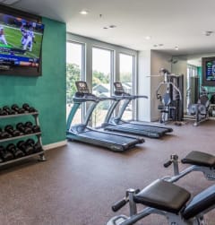 the apartments at masse corner 205 fitness room