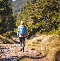 A person with a blue backpack is walking on a dirt path in a forest.
