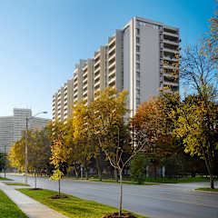 A tall building with balconies is surrounded by trees with yellow leaves.