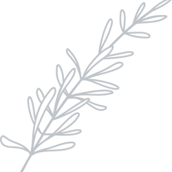 a drawing of marijuana leaves on a black background at Pleasant View Estates, Griswold, Connecticut
